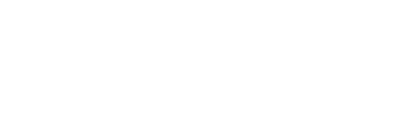 White PLRisk Logo