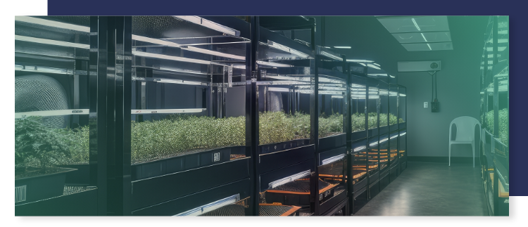 Perishable Cannabis Inventory Perishable Cannabis Inventory